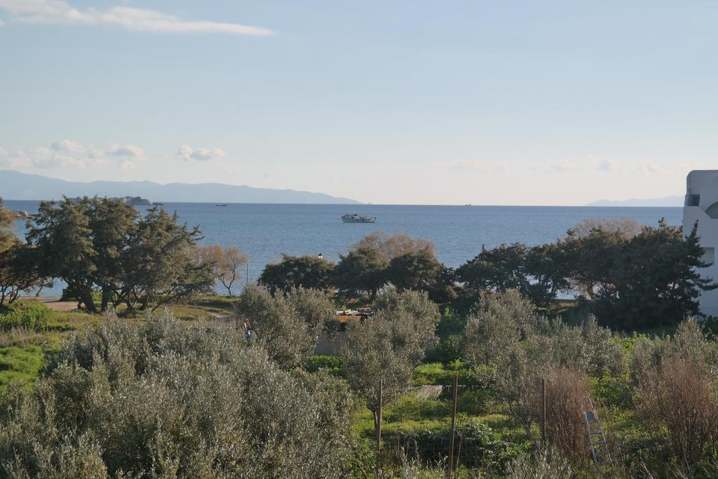 Mina'S Studios In Naxos Island Agios Prokopios  Exteriör bild
